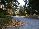 Der Türkenschanzpark in Wien-Währing ist ein beliebter Treffpunkt für Laufgenießer. Leichte Hügel, ...