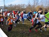 <strong>1. Lauf zum Sparkassen 4-Städte Cross Cup 2011 der SU Traismauer<br /></strong><br />Bei So...